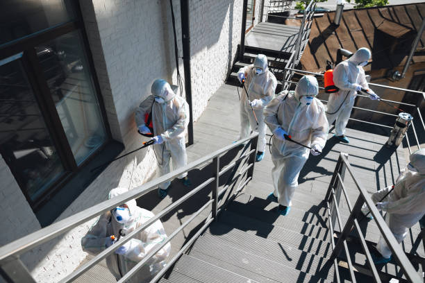 Best Mold Documentation for Insurance Claims  in Georgetown, GA